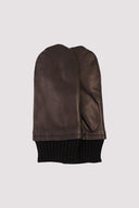 NOELA (4167556202561)